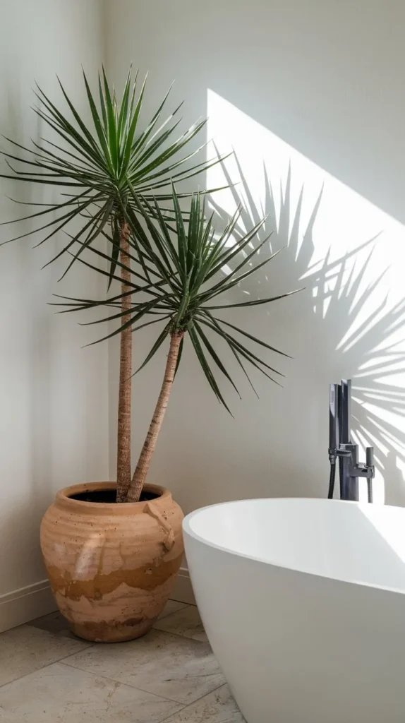 Bathroom Plants That Absorb Moisture